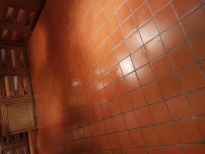 Floor Cleaning Wicklow