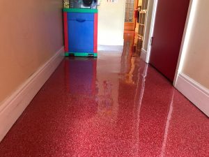 Floor cleaning carrickmines