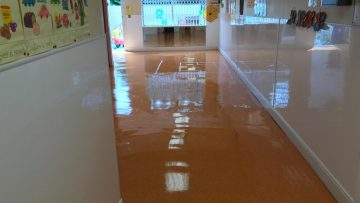 Floor Cleaning Skerries