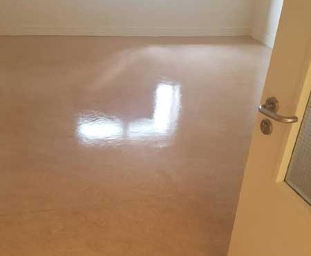 Floor Cleaning Balgriffin