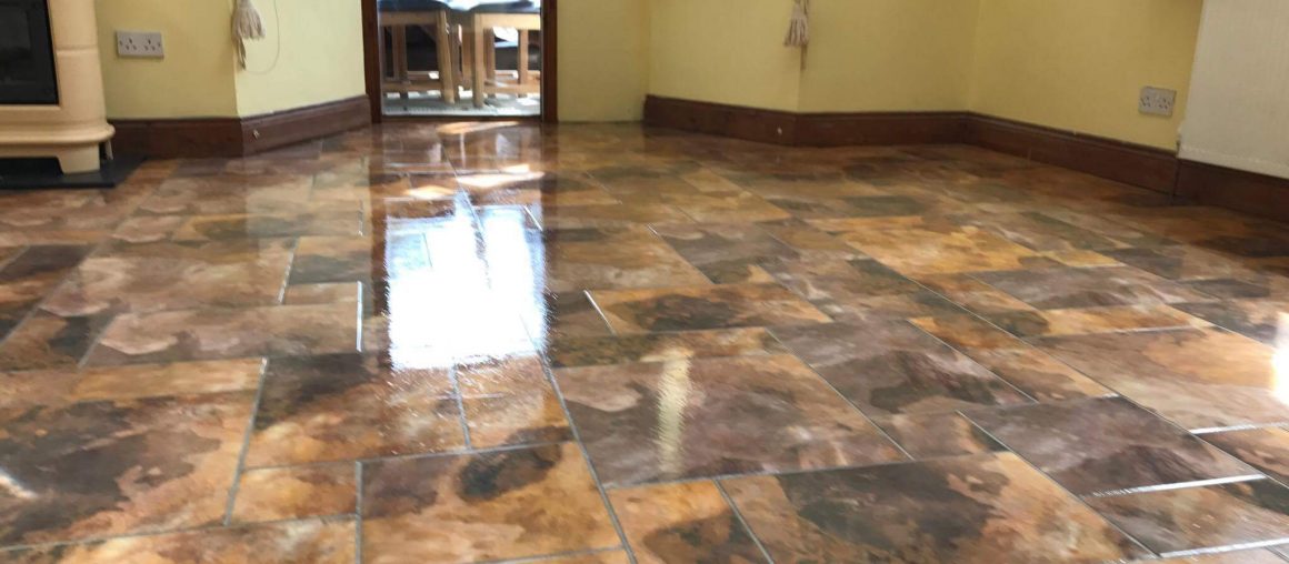 Floor Cleaning Milltown
