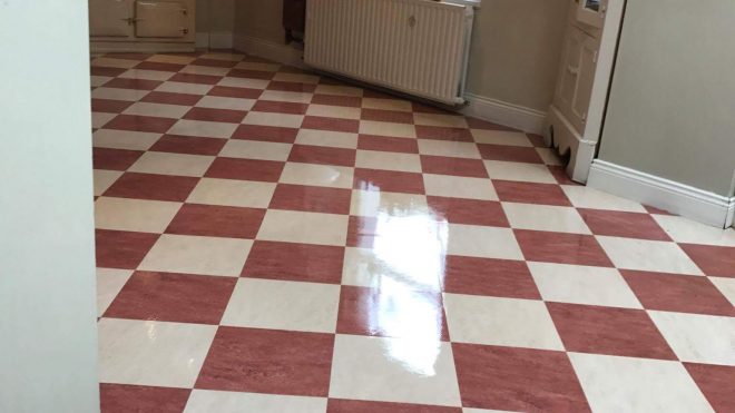 Vinyl Floor Cleaning Services