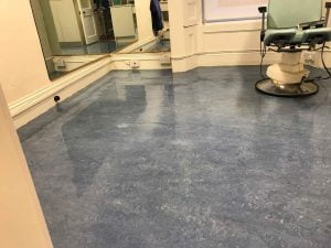 Floor Cleaning Rathmines