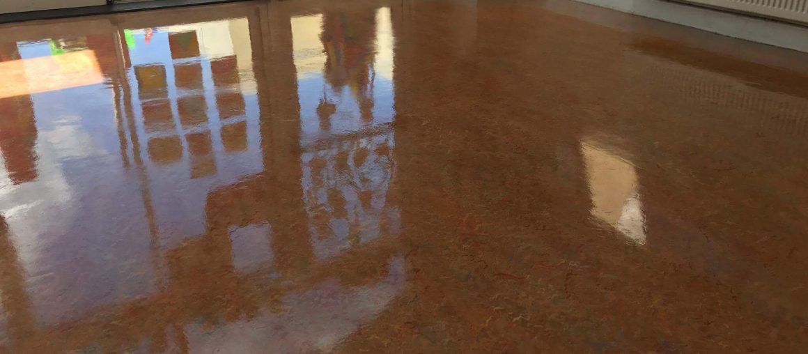 Floor Cleaning Clonsilla