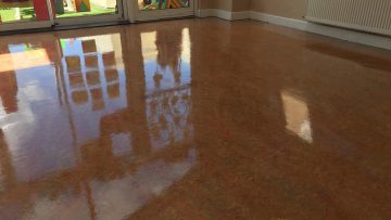 Floor Cleaning Clonsilla
