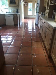 Terracotta Floor Cleaning