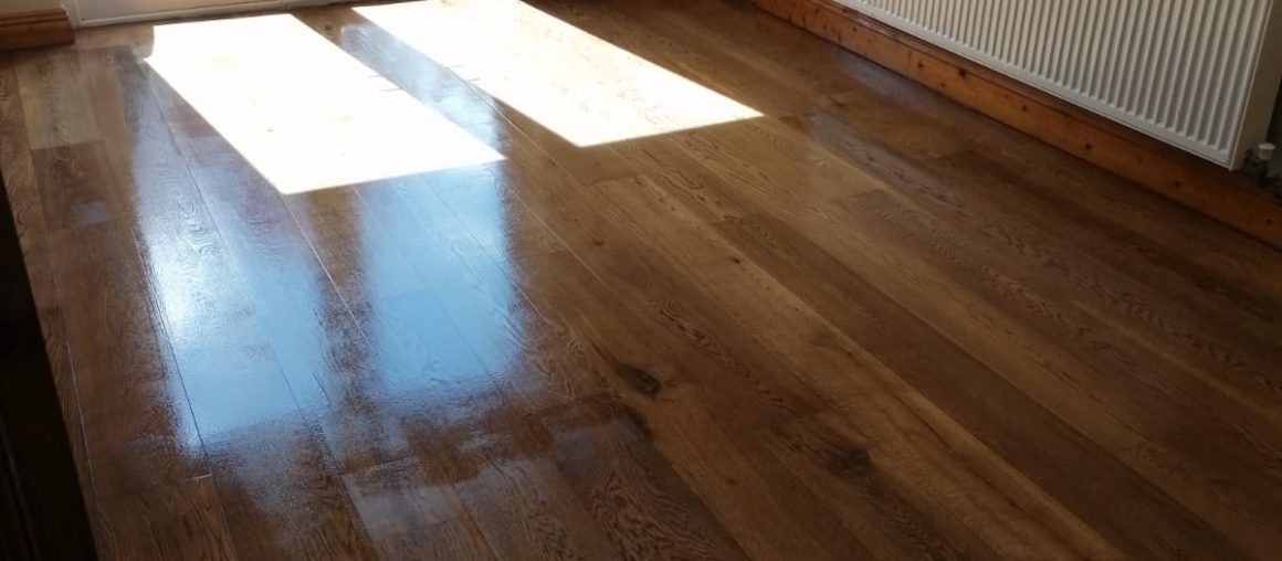 Floor Cleaning Chapelizod