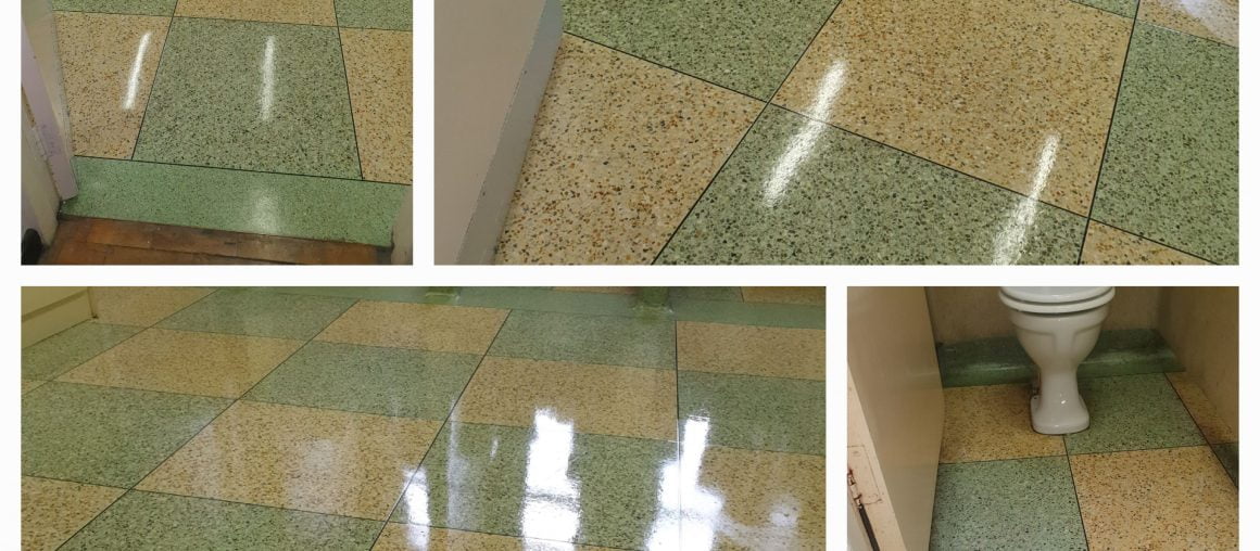 Floor Cleaning Kinsealy