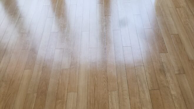 Floor Cleaning Smithfield