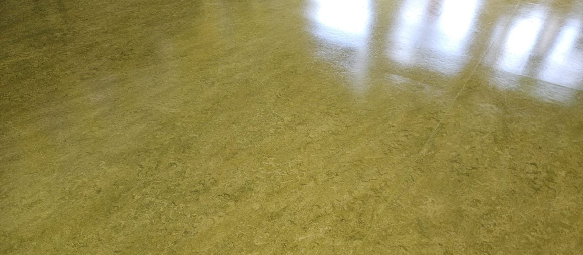 Floor Cleaning Bluebell