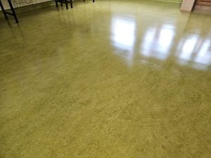 Floor Cleaning Bluebell