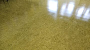 Floor Cleaning Bluebell