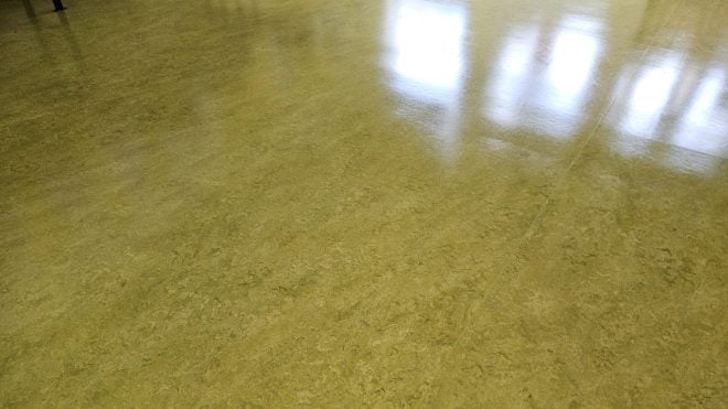 Floor Cleaning Bluebell