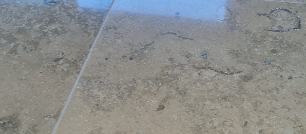 Floor Cleaning Rathgar I Floor Cleaning Dublin