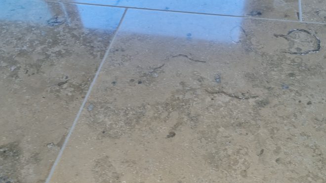 Floor Cleaning Rathgar I Floor Cleaning Dublin
