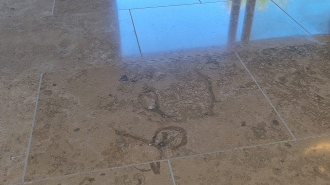Floor Cleaning Monkstown | Floor Cleaning Dublin