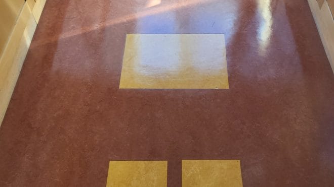 Floor Cleaning East Wall | Floor Cleaning Dublin